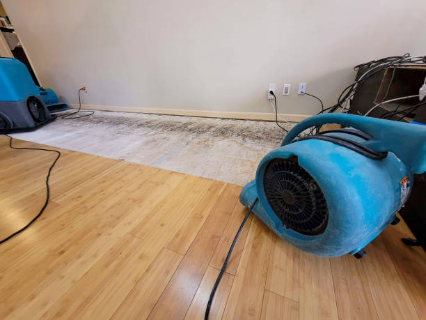 Professional Structural Drying technician working in Fenton, MO